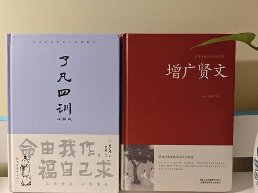 世上最厉害的好运（《了凡四训》《增广贤文》） 商品图1