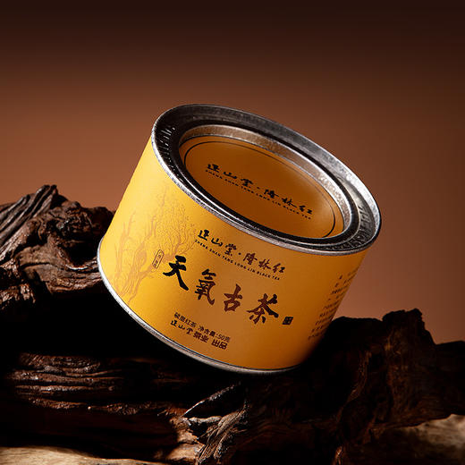 正山堂隆林红 天氧古茶特级红茶正宗广西古树茶叶罐装送礼长辈50g 商品图3