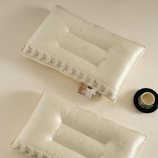 自然醒蚕丝乳胶美肌枕头护颈椎助睡眠专用枕头美肤护颈深睡枕家用一对枕头芯XK 商品图11
