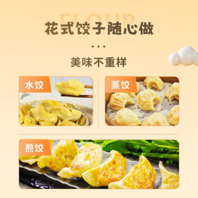 健稚 无小麦小米大米饺子粉无麸质无蛋儿童饺子面条馄饨主食面粉2盒 /粮油调味 /面粉 /通用粉
