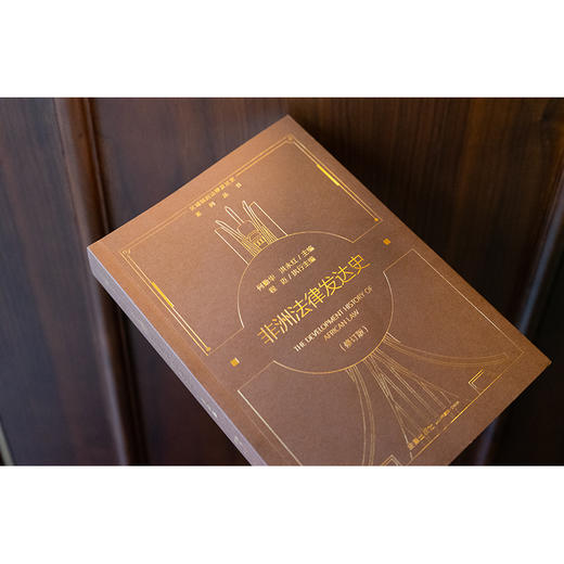 非洲法律发达史（修订版） 何勤华 洪永红主编 程迈执行主编 法律出版社 商品图4