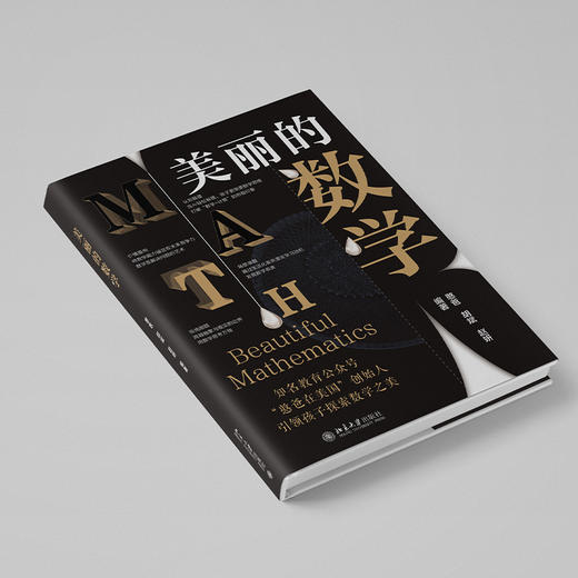 美丽的数学 商品图2