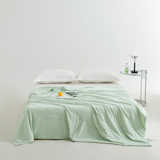 三泰龙 夏季A类锦纶聚酰胺夏被可机洗水洗空调被 商品图5