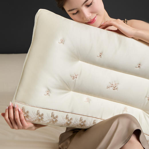 自然醒蚕丝乳胶美肌枕头护颈椎助睡眠专用枕头美肤护颈深睡枕家用一对枕头芯XK 商品图1