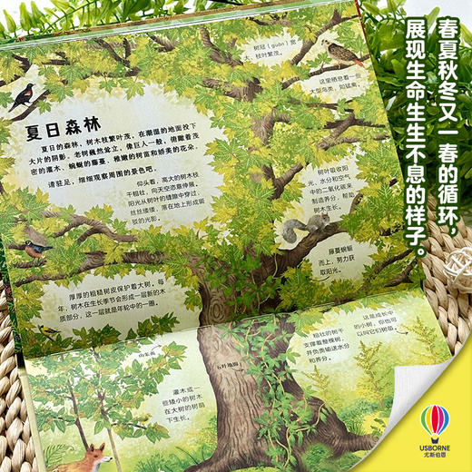 尤斯伯恩-森林之书 大自然的科普书 赠拼插 商品图3
