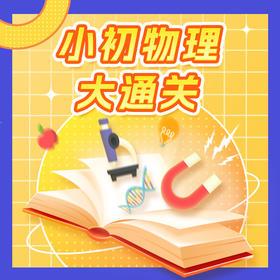 小初物理大通关