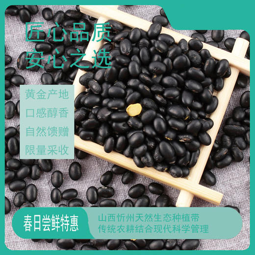 山西【有机静乐五谷】来静乐山区的豆子 高海拔 无污染 一切只为了健康！ 商品图4