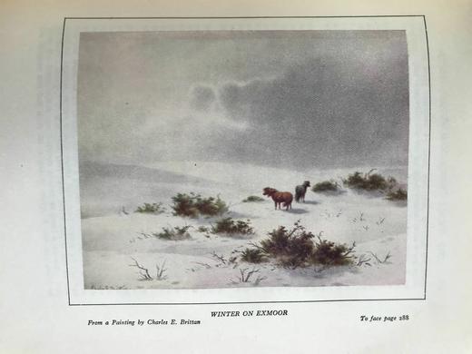 约20世纪早期 布莱克摩尔《洛娜·杜恩》 16幅彩色插图 漆布精装16开 商品图14