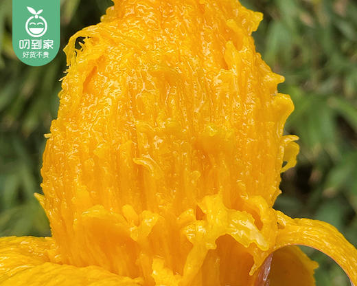 福返海南空运树上熟贵妃芒/1份（1kg±50g） 商品图1