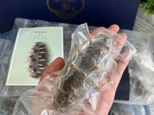 下单2斤+送同款海参1斤  渤海湾即食海参  不用泡发  13-15头 商品图3