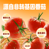 屯河 番茄丁390g*12罐 配料新鲜0添加剂番茄罐头西红柿块番茄酱整箱 /粮油调味 /调味品 /西式酱料 商品缩略图1