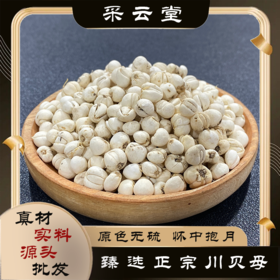 川贝  川贝母  正品松贝