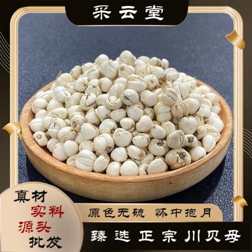 川贝  川贝母  正品松贝 商品图0