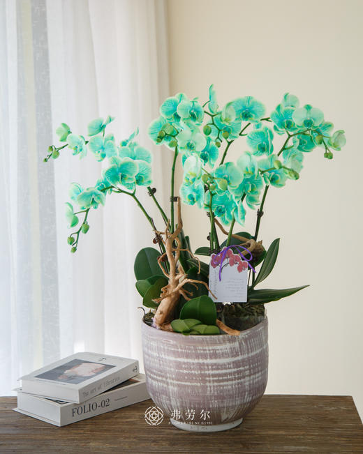 手工盆绿色马卡龙 商品图0