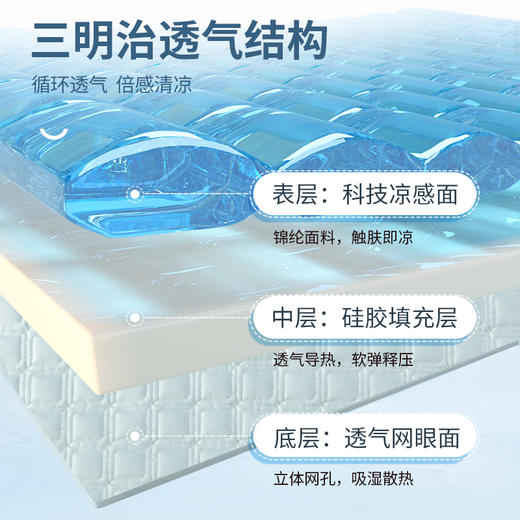 泰嗨硅胶冰丝凉席床笠三件套透气凉爽可机洗水洗 商品图7