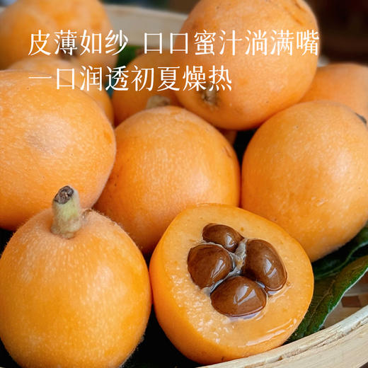 【黄金果期有限】【汉源枇杷】现摘现发 皮薄好剥 水分足足的 对嗓子也特别好~ 商品图2