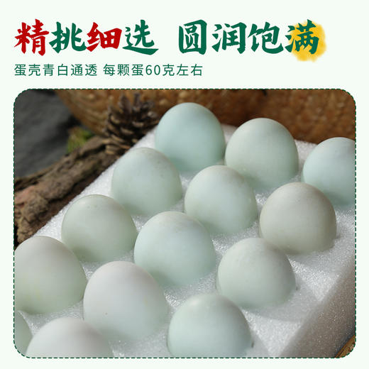 【杨博士自营 鲜鸭蛋30枚】杨博士溪水河鸭土鸭 农家散养鸭蛋新鲜60克/枚正宗 商品图1
