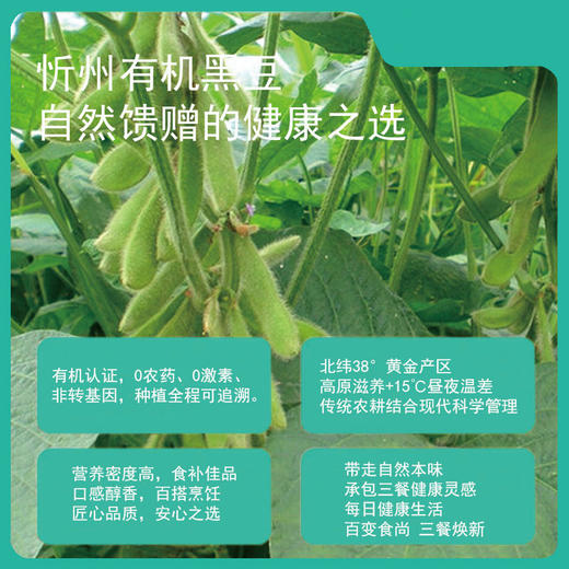 山西【有机静乐五谷】来静乐山区的豆子 高海拔 无污染 一切只为了健康！ 商品图5