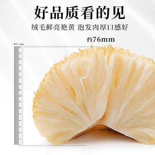 在菌屋 东北精品猴头菇150g/罐 绒毛鲜亮艳黄 泡发肉厚口感好 商品图2