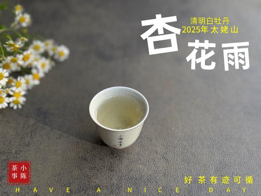 【新茶上市】2025清明白牡丹，春茶复购率排行第一的白茶，汤水花香盈盈，清鲜甘淳，美不胜收（一斤收藏装） 商品图12