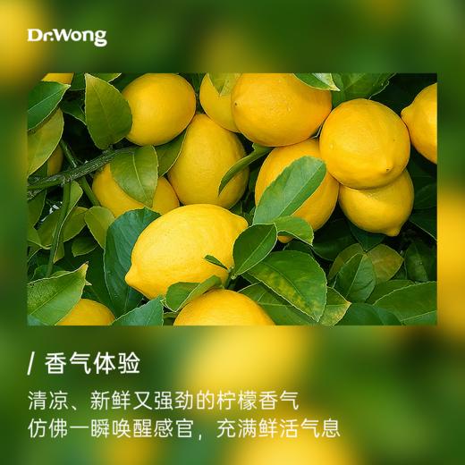 柠檬 植物香薰精油（撕拉款） 商品图1