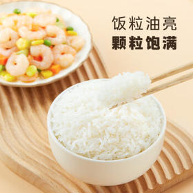 十月稻田 当季新米 绿色食品 五常大米 10斤（香米 东北大米 5公斤） /粮油调味 /米 /长粒香米