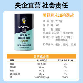 莫顿（MORTON） 湖盐737g【未加碘 湖盐】食用湖盐 家用炒菜调味 无抗结剂湖盐 /粮油调味 /调味品 /盐