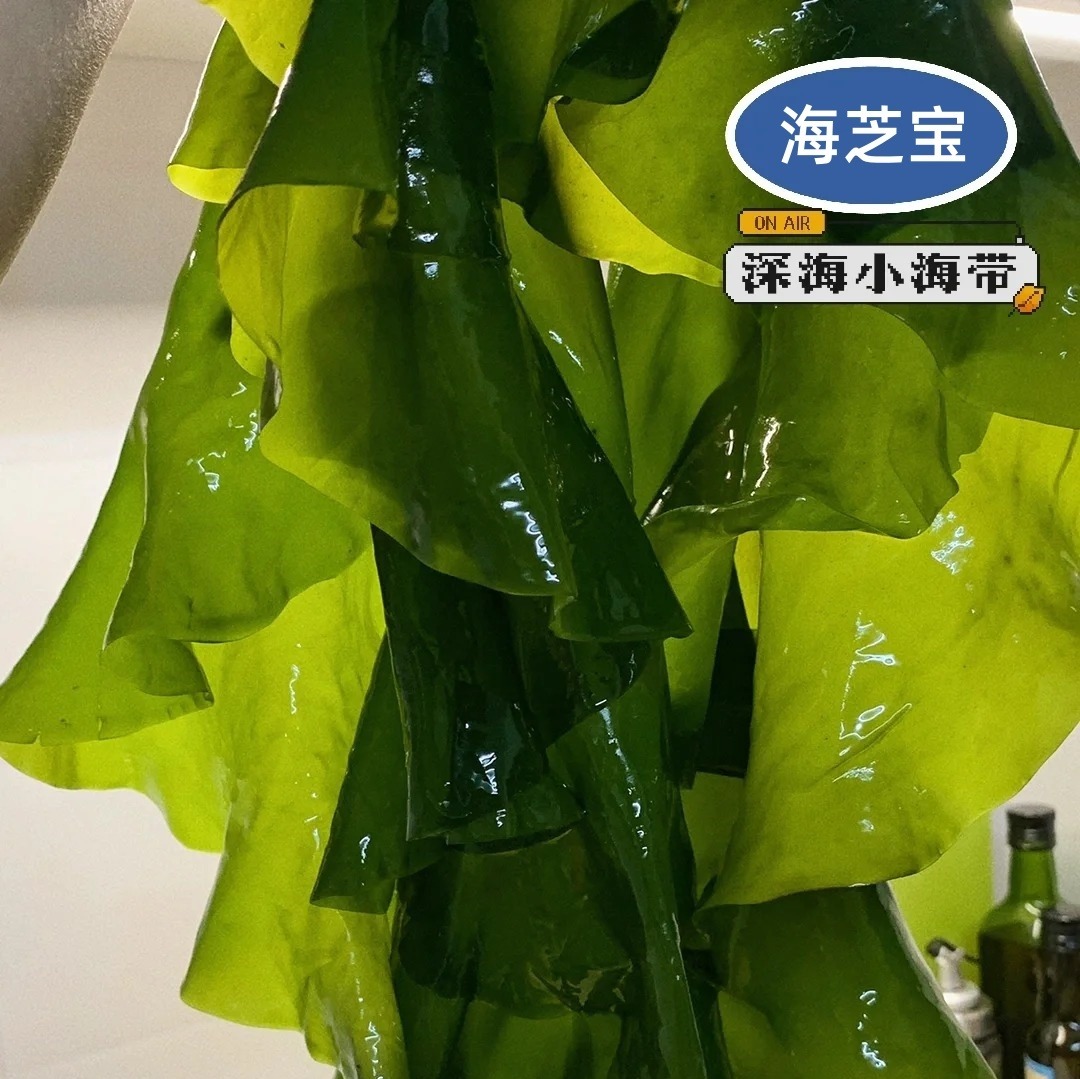 【有机盐渍海带嫩苗】非人工养殖，来自远离陆地8-10海里之外的深海新鲜采摘，从采摘到加工全场不落地处理，24小时完成整个生产过程，保留海带自身鲜嫩口感，泡发后可以直接凉拌