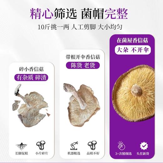 在菌屋 正宗庆元香信菇150g/罐 口感爽滑Q弹 劲道有肉感 保留香信菇本来的自然鲜香 商品图2
