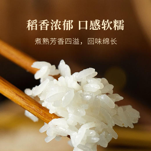 【北大荒】五常大米 5kg 电商专享 商品图6