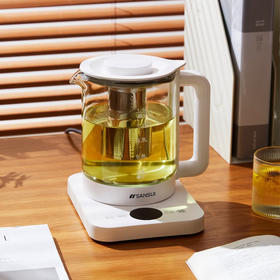 山水（SANSUI）1.5L多功能咖啡花茶养生壶（配滤网）KT-1837