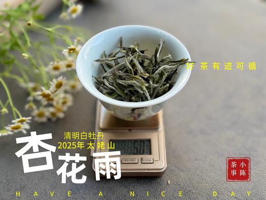 【新茶上市】2025清明白牡丹，春茶复购率排行第一的白茶，汤水花香盈盈，清鲜甘淳，美不胜收（一斤收藏装） 商品图6