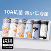 【舒适纯棉，亲肤柔软透气】青少年内裤 男童发育期 高中生初中学生 大童男生A类平角内裤-QQ 商品缩略图2