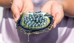 【北京】幼儿园专场—珍珠开蚌活动