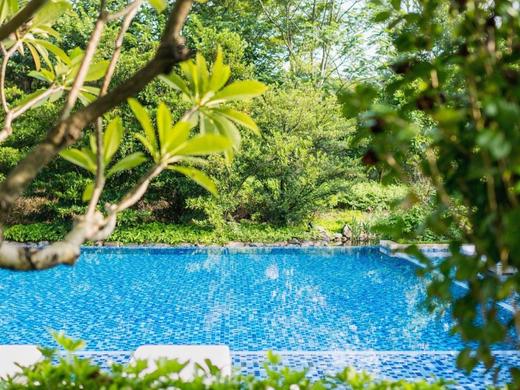 【铲屎官福利】清远新世界酒店2天1夜萌宠套餐 商品图9