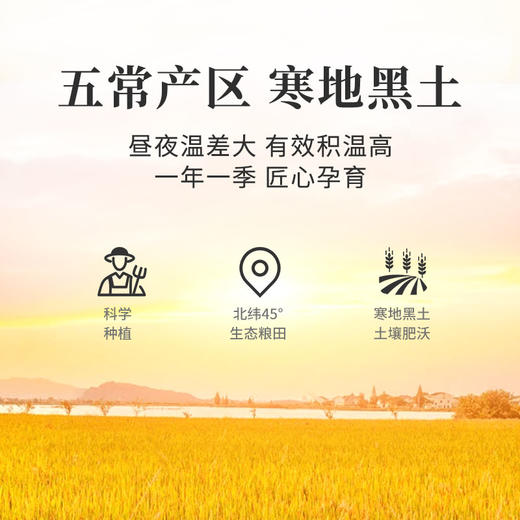 【北大荒】五常大米 5kg 电商专享 商品图5