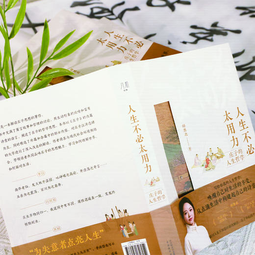 人生不必太用力 庄子的人生哲学  焦虑内卷自救指南 走出焦虑人生 商品图4