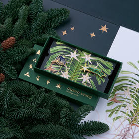 【单向好物推荐 】 daparo 达尔文猜想 胸针