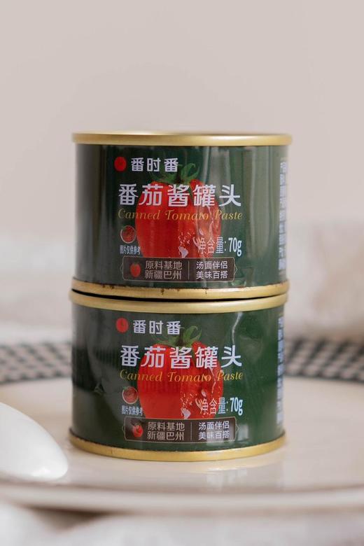 番时番新疆番茄酱罐头70g 商品图0