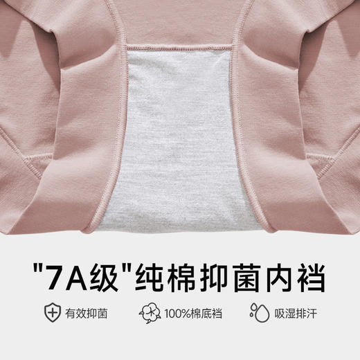 XY-1262  【1条】60支兰精莫代尔女士平角裤高腰透气收腹纯棉抗菌女士内裤 商品图3