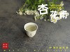 【新茶上市】2025清明白牡丹，春茶复购率排行第一的白茶，汤水花香盈盈，清鲜甘淳，美不胜收（一斤收藏装） 商品缩略图13