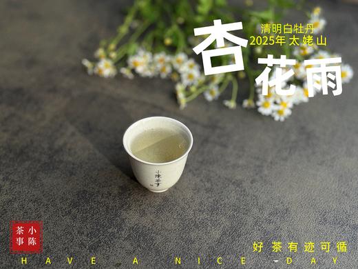 【新茶上市】2025清明白牡丹，春茶复购率排行第一的白茶，汤水花香盈盈，清鲜甘淳，美不胜收（一斤收藏装） 商品图13