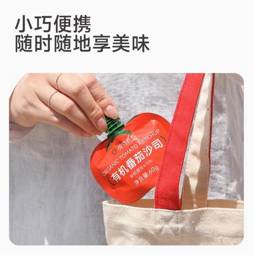 应物有机番茄沙司60g 商品图0