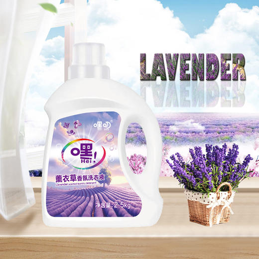 嘿叨 薰衣草香氛洗衣液2.5kg  深层清洁持久留香强力去渍低泡易漂洗 商品图1