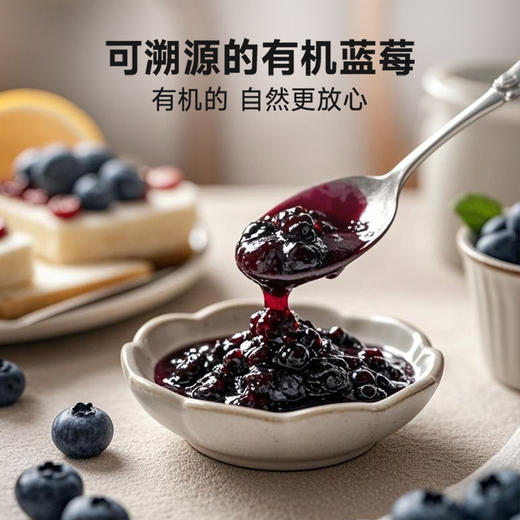 拾爸家⠀有机蓝莓酱 90%有机蓝莓果肉纯熬 0糖0脂肪 70g/瓶 商品图4