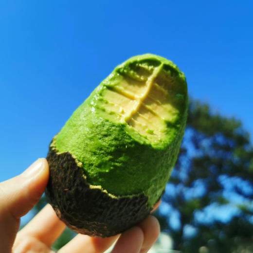 秘鲁【树熟即食牛油果】绵密软糯，口感细腻、柔软香醇可口、滋味浓郁、自然成熟！【顺丰快递】 商品图2