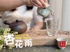 【新茶上市】2025清明白牡丹，春茶复购率排行第一的白茶，汤水花香盈盈，清鲜甘淳，美不胜收（一斤收藏装） 商品缩略图8