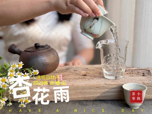 【新茶上市】2025清明白牡丹，春茶复购率排行第一的白茶，汤水花香盈盈，清鲜甘淳，美不胜收（一斤收藏装） 商品图8