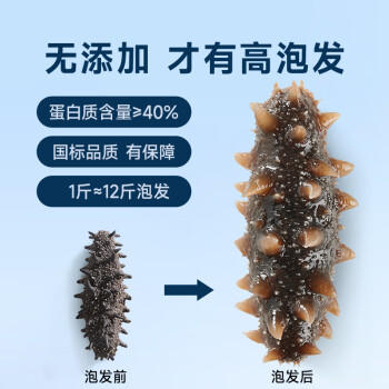 久年国标12倍大连淡干海参250g20-30头 辽刺参海鲜干货礼盒 源头直发 /粮油调味 /南北干货 /干海参 商品图1