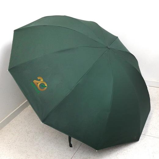 【会员抽奖】万唯绿雨伞 商品图0
